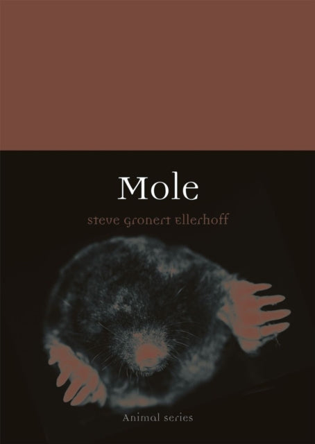 Mole (Animal Series), Steve Gronert Ellerhoff