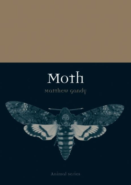 Moth (Animal Series), Matthew Gandy