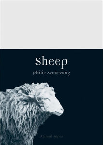 Sheep (Animal Series), Philip Armstrong