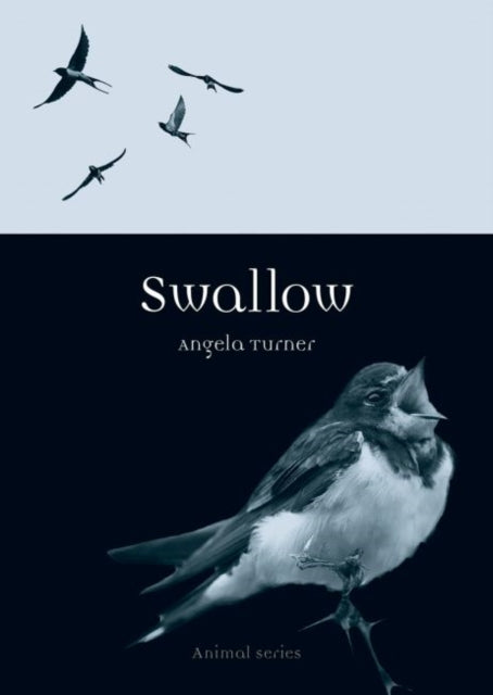 Swallow (Animal Series), Angela Turner