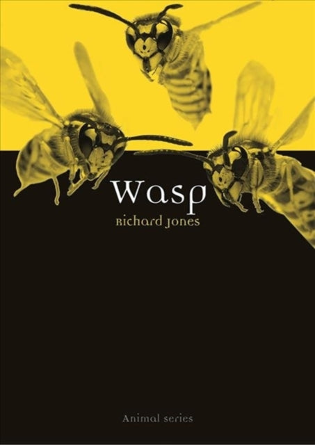 Wasp (Animal Series), Richard Jones