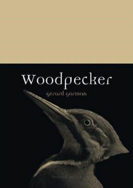 Woodpecker (Animal Series), Gerard Gorman