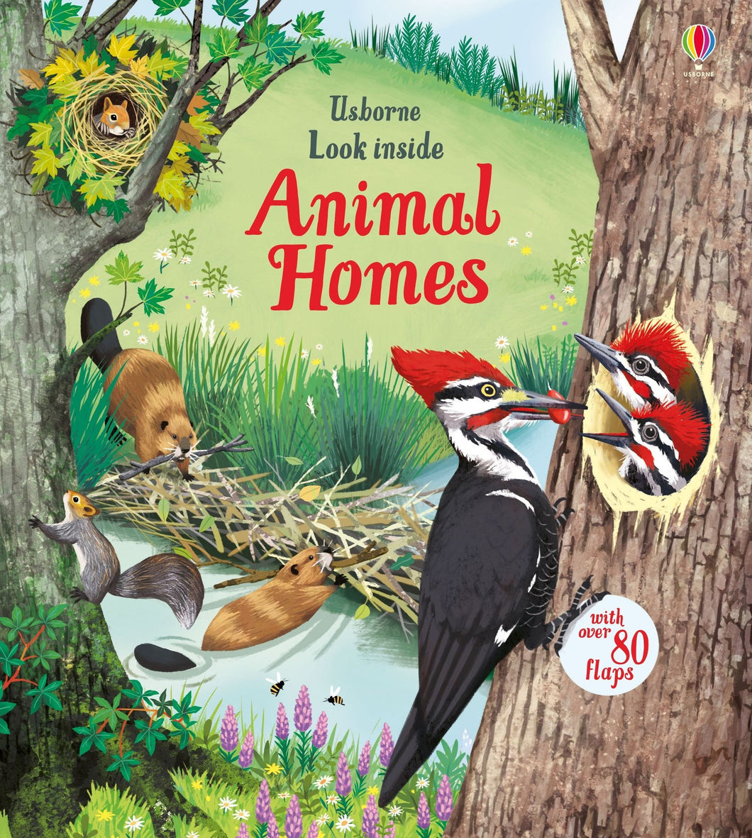 Look Inside Animal Homes (Usborne Lift-the-flap)