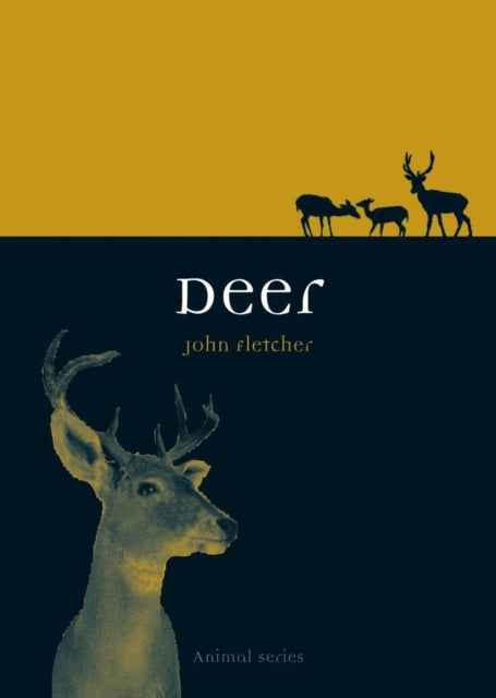 Deer (Animal Series), John Fletcher