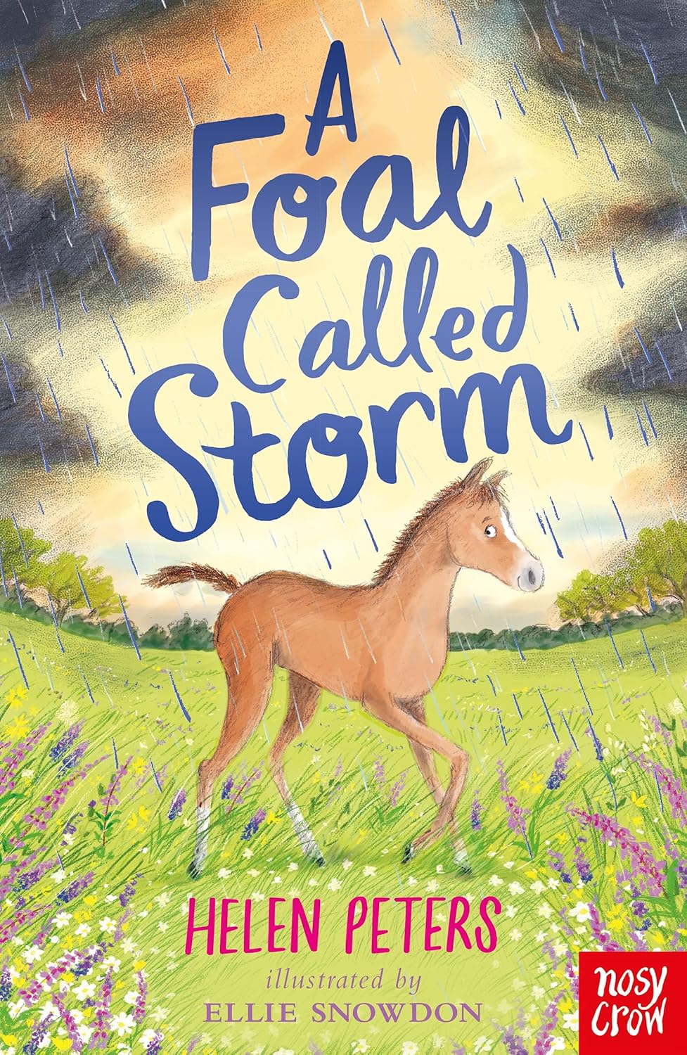 A Foal Called Storm, Helen Peters