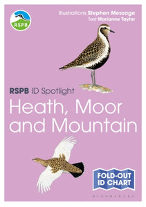 RSPB ID Spotlight - Birds of Heath, Moor and Mountain, Marianne Taylor