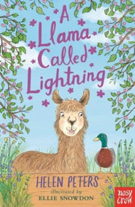 A Llama Called Lightning  (Jasmine Green Series), Helen Peters