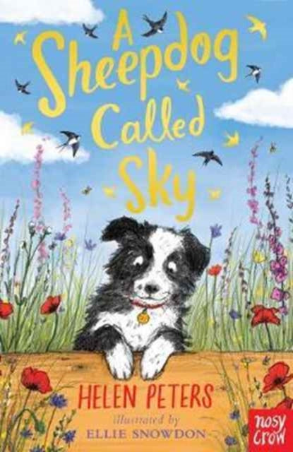 A Sheepdog Called Sky  (Jasmine Green Series), Helen Peters