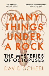 Many Things Under a Rock: The Mysteries of Octopuses, David Scheel