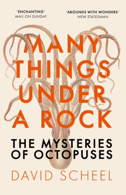 Many Things Under a Rock: The Mysteries of Octopuses, David Scheel